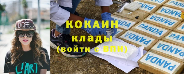шишки Вязьма