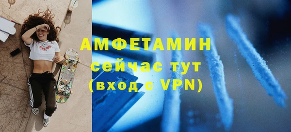 индика Вязники