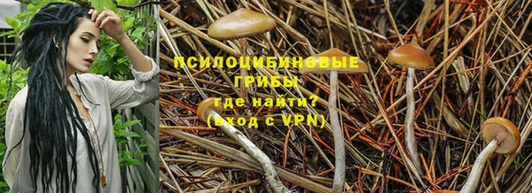 шишки Вязьма